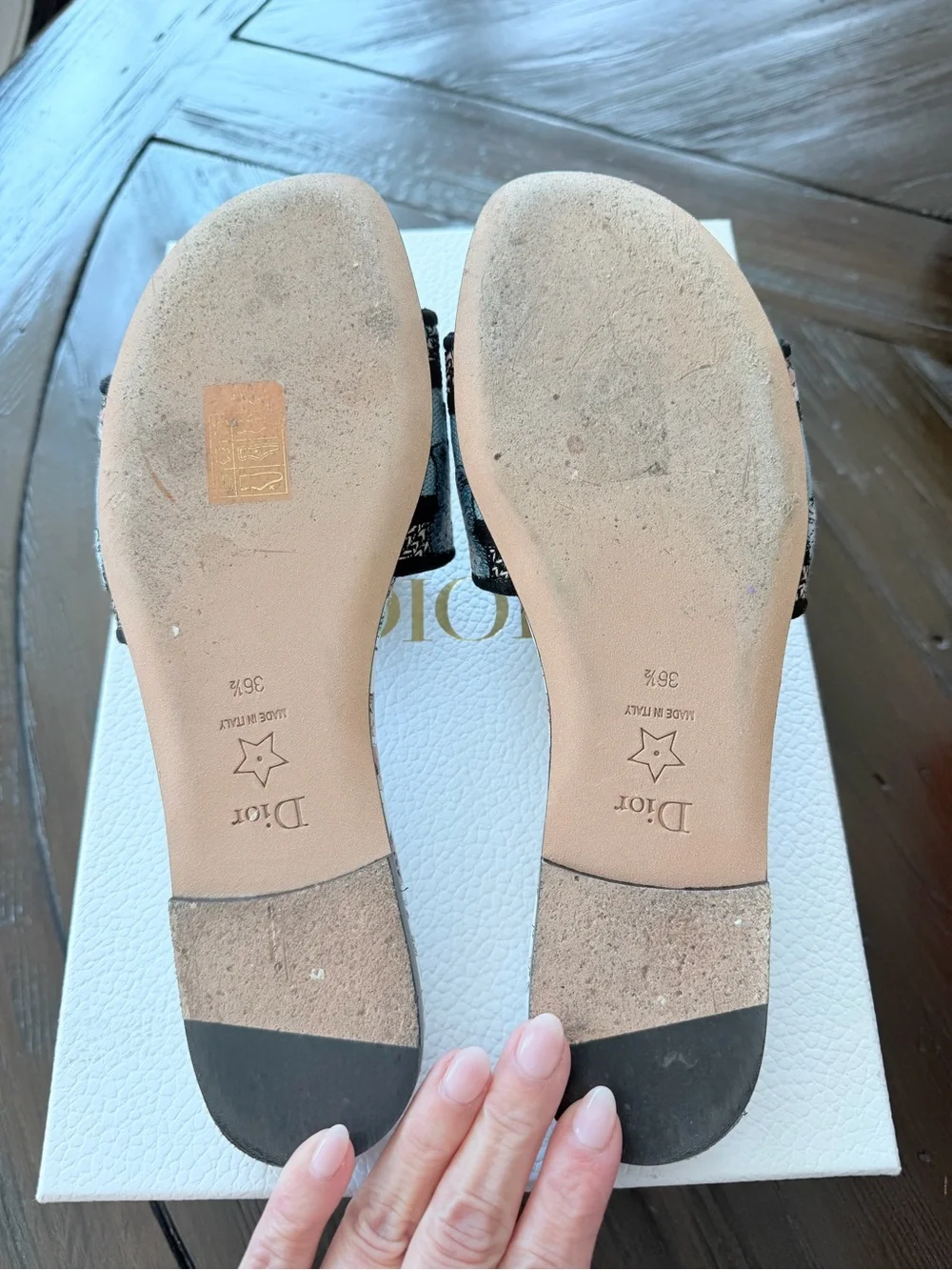 Dior Butterfly Sandal Slides